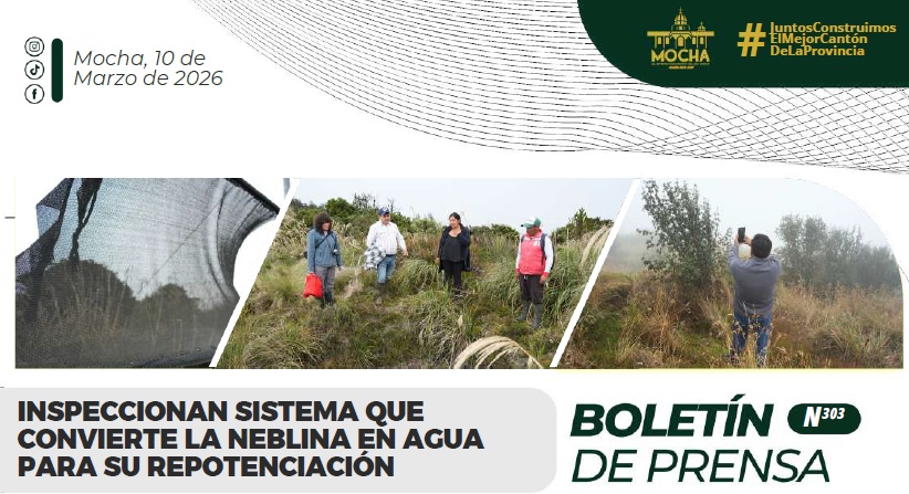 Boletin N303 F12032026